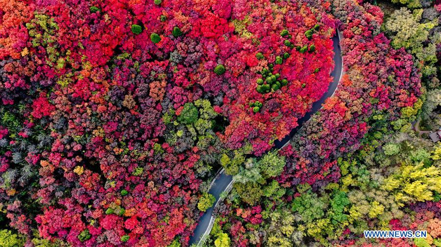 CHINA-SHANDONG-JINAN-AUTUMN SCENERY (CN)