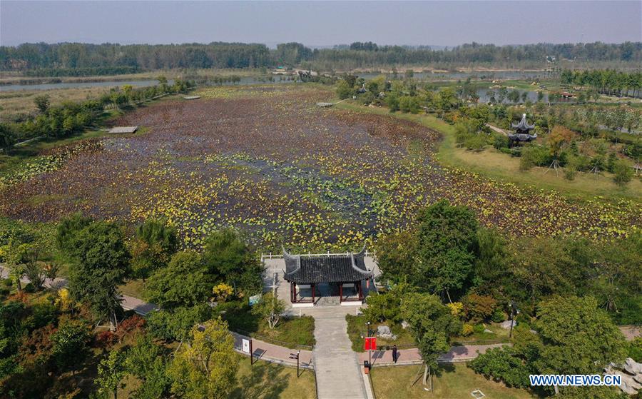 CHINA-JIANGSU-SUINING-WETLAND (CN)