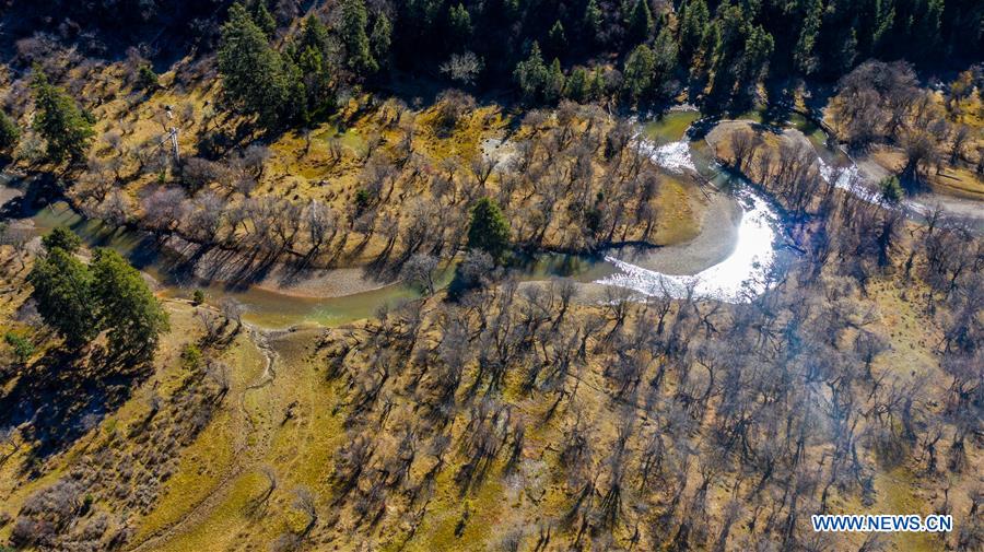 CHINA-YUNNAN-SHANGRI-LA-POTATSO NATIONAL PARK-AUTUMN SCENERY (CN)