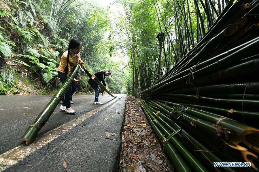 (FOCUS)CHINA-GUIZHOU-CHISHUI-BAMBOO WEAVING-CRAFTSWOMAN-TRAINING CENTER (CN)