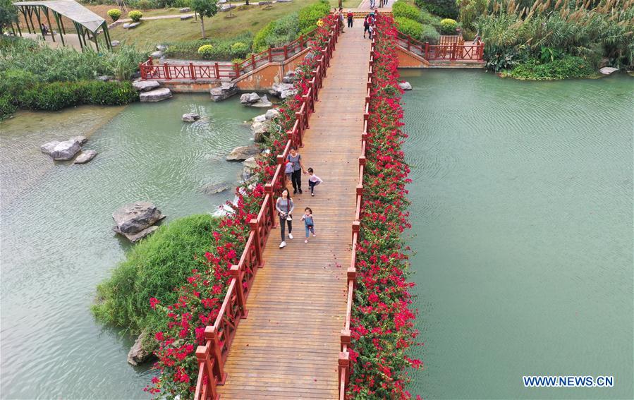 CHINA-GUANGXI-NANNING-WETLAND-SCENERY (CN)