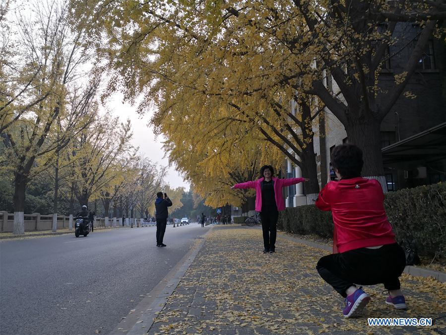 (BeijingCandid)CHINA-BEIJING-AUTUMN (CN)