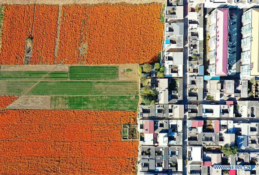 CHINA-HEBEI-HANDAN-SCENERY-AERIAL VIEW (CN)