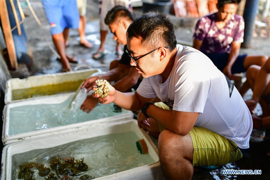 INDONESIA-BALI-CORAL REHABILITATION