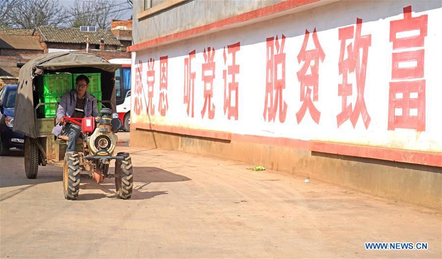 CHINA-YUNNAN-POVERTY ALLEVIATION-PEPINO MELON-INDUSTRY (CN)