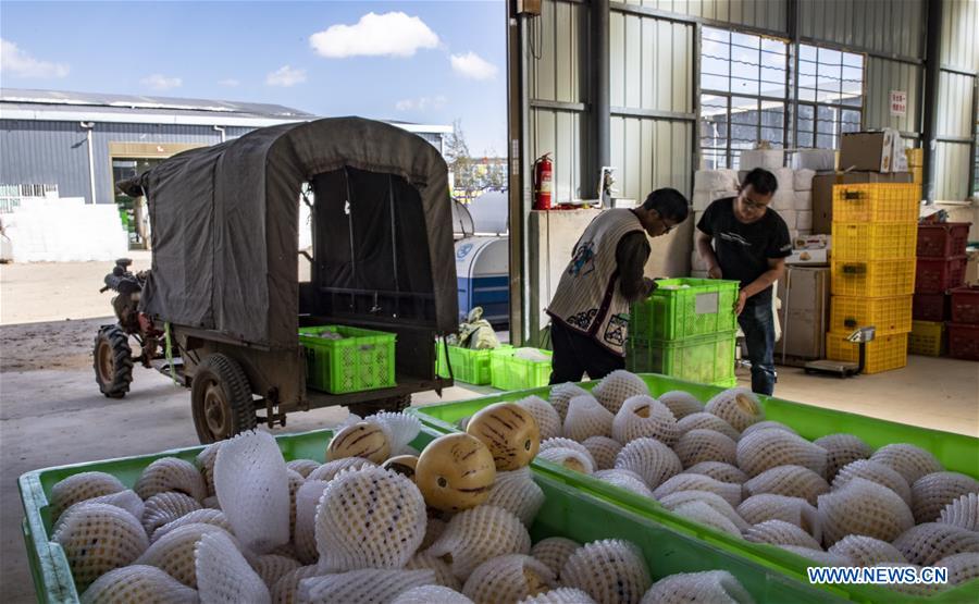 CHINA-YUNNAN-SHILIN-POVERTY ALLEVIATION-PEPINO MELON-INDUSTRY (CN)