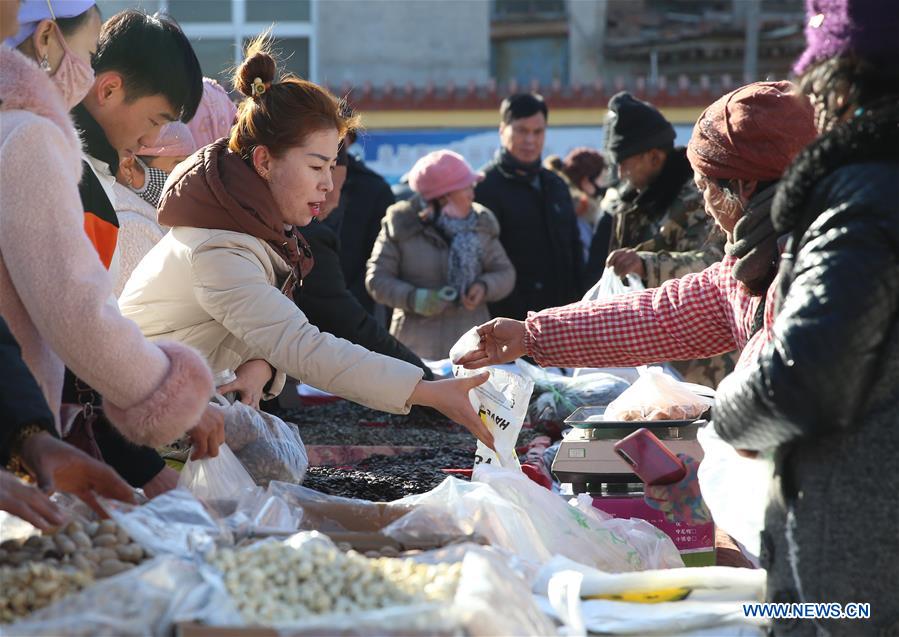 CHINA-NINGXIA-YINCHUAN-SPRING FESTIVAL MARKET (CN)