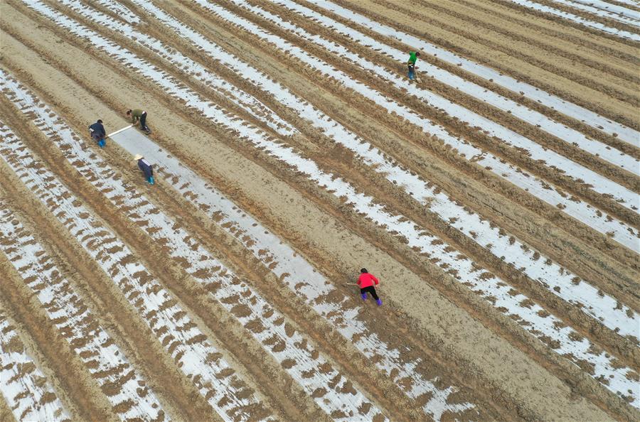 #CHINA-SPRING-FARMING (CN)