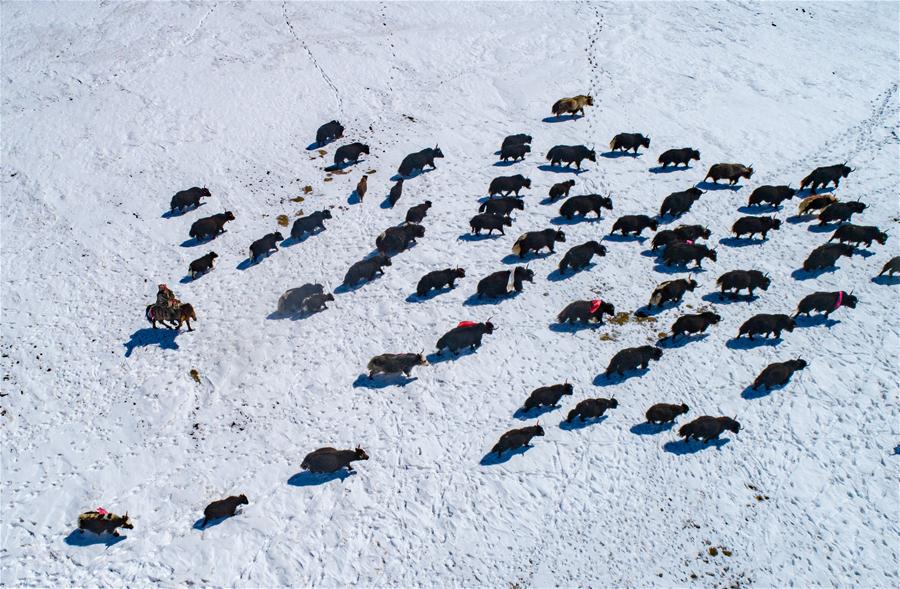 CHINA-TIBET-SNOW SCENERY (CN)