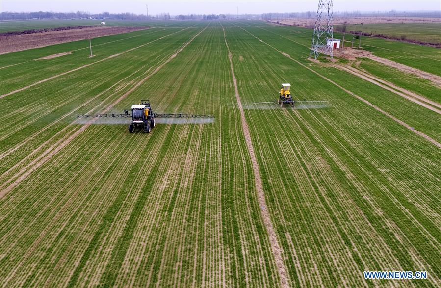 CHINA-HEBEI-BOTOU-SPRING FARMING (CN)