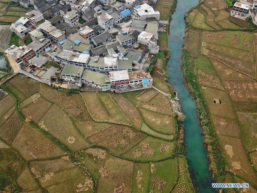 CHINA-GUIZHOU-ANSHUN-AUTUMN SCENERY (CN)