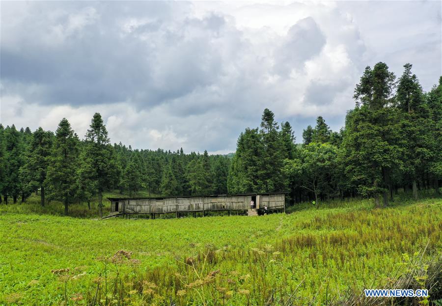 CHINA-CHONGQING-NANTIAN LAKE-SCENERY (CN)