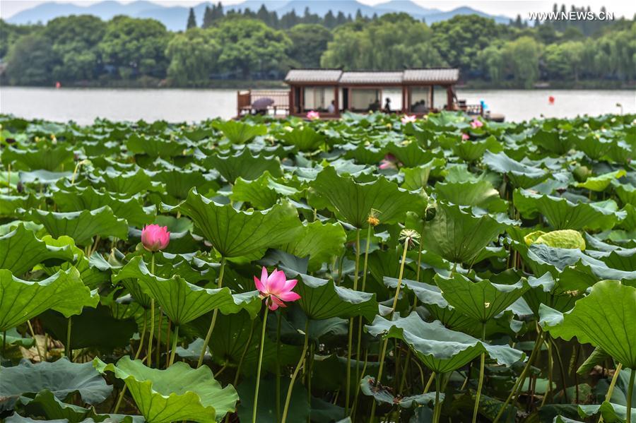 (G20 SUMMIT)CHINA-HANGZHOU-WEST LAKE-G20-PREPARATION (CN)