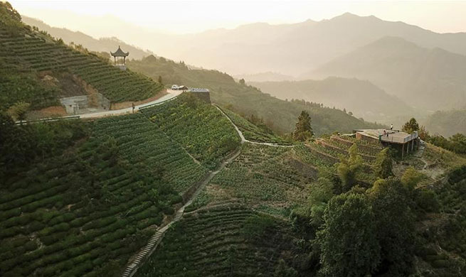 Scenery at dawn in Shitan Village, E China's Anhui