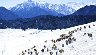 Snow scenery of Qilian Mountain in northwest China