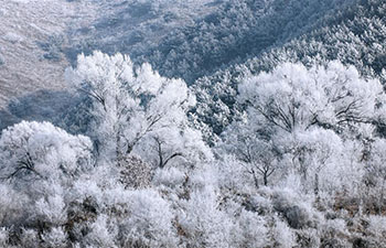 Frost scenery at Riyuexing scenic resort in Zuoquan, China's Shanxi