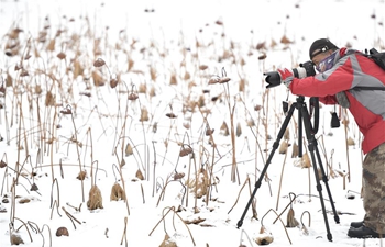 In pics: China's Shenyang after snowfall