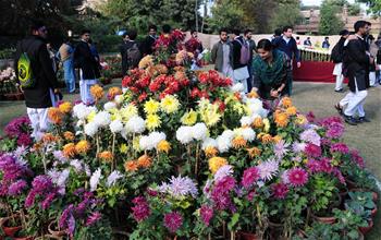 People visit chrysanthemum flower show in Pakistan's Peshawar