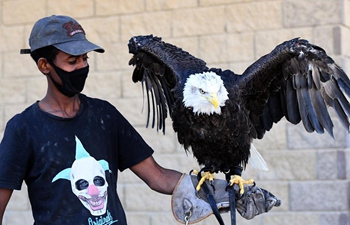 Raptor show held in Kuwait