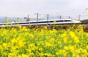 In pics: Congjiang section of Guiyang-Guangzhou high-speed railway in Guizhou