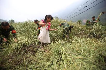 地震災區(qū)“雙搶”忙 軍民協(xié)力促生產