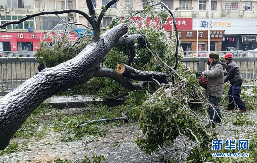 （新華全媒頭條）（7）雨雪冰凍中，他們奮力前行——基層黨員干群抗擊冰雪災(zāi)害紀(jì)實(shí)