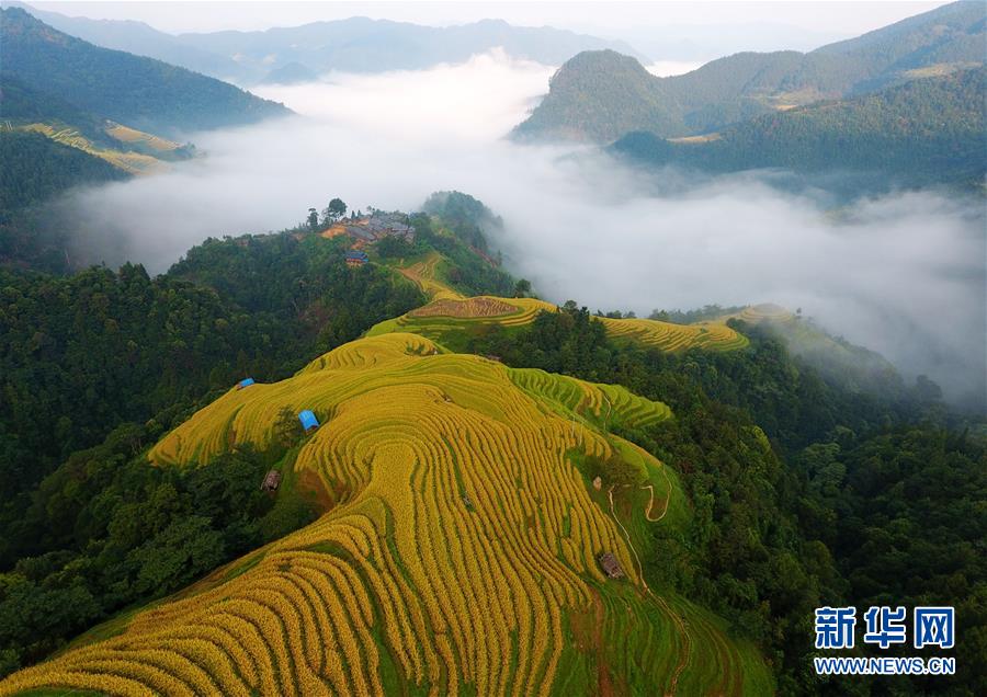 （新華全媒頭條·圖文互動(dòng)）（6）從脆弱生態(tài)到滿眼皆“綠”——國(guó)家生態(tài)文明試驗(yàn)區(qū)貴州的“綠色之路”