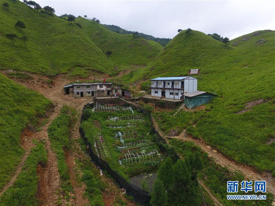 （新華全媒頭條·圖文互動(dòng)）（3）一個(gè)人，一座山——劉真茂的生命守望