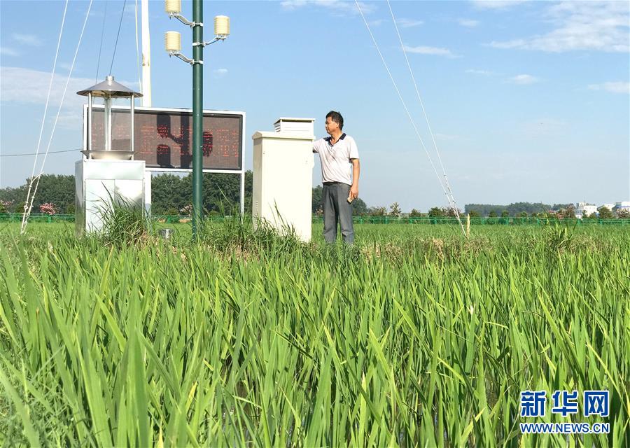 （新華全媒頭條·圖文互動）（4）最年輕的節(jié)日 最悠久的牽念——寫給首個(gè)中國農(nóng)民豐收節(jié)