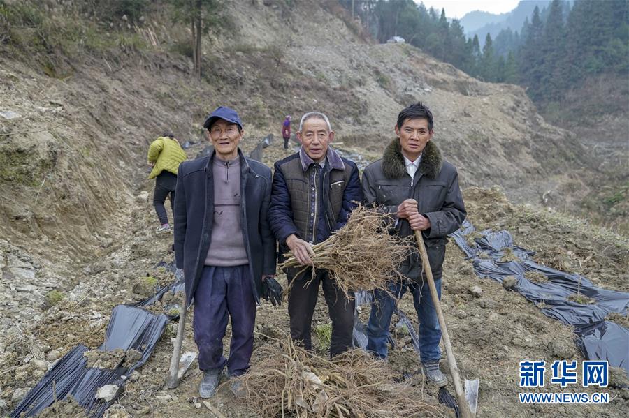 （新春走基層）（6）重慶黔江：土家三老漢 一臺“扶貧戲”