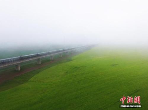 資料圖：動車組穿越雨霧中的油菜花海宛若穿越時空。 楊艷敏 攝