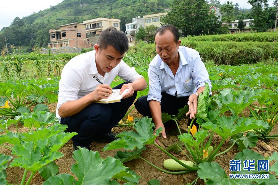 （新華全媒頭條·圖文互動(dòng)）（3）咱們村里的年輕人——記奮戰(zhàn)在貴州脫貧攻堅(jiān)一線的青年