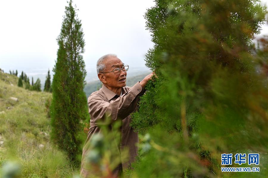 （在習(xí)近平新時(shí)代中國(guó)特色社會(huì)主義思想指引下——新時(shí)代新作為新篇章·圖文互動(dòng)）（5）中條山下綠意濃——一個(gè)“資源窮縣”的生態(tài)發(fā)展之路