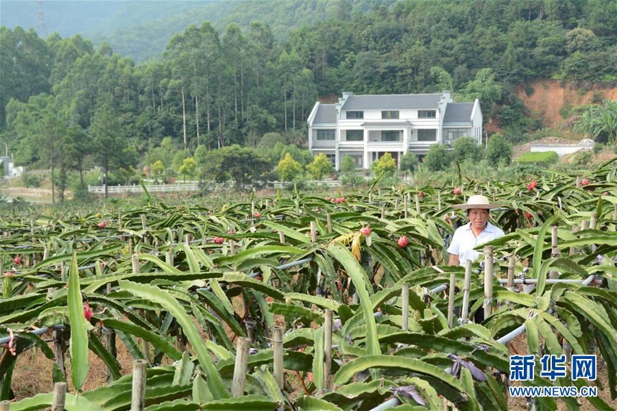 （在習近平新時代中國特色社會主義思想指引下——新時代新作為新篇章·總書記關心的百姓身邊事·圖文互動）（6）大污染變身“大寶藏”：治理畜禽糞污，他們這樣干！