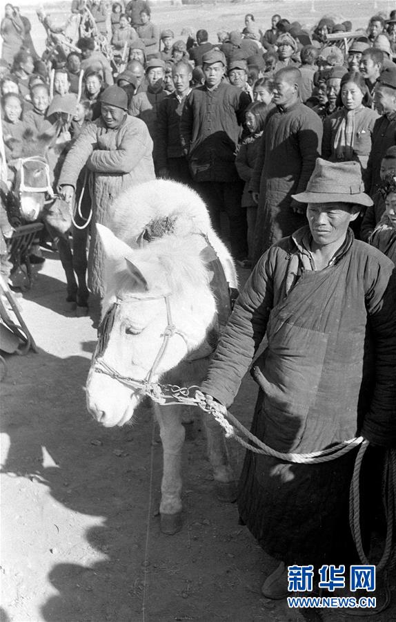 （壯麗70年·奮斗新時代——新中國崢嶸歲月·圖文互動）（3）廢除封建土地制度