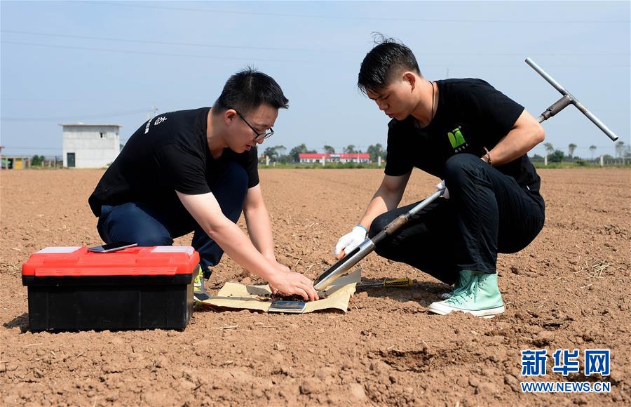 （在習近平新時代中國特色社會主義思想指引下——新時代新作為新篇章·總書記關心的百姓身邊事·圖文互動）（6）“農”字頭照樣“大”作為——豐收時節(jié)看涉農高校人才在希望的田野