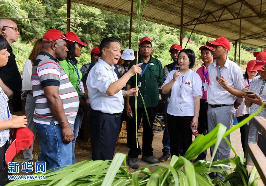 （不忘初心、牢記使命·圖文互動(dòng)）（5）拳拳寸草心 濃濃報(bào)國(guó)情——記“菌草之父”林占熺