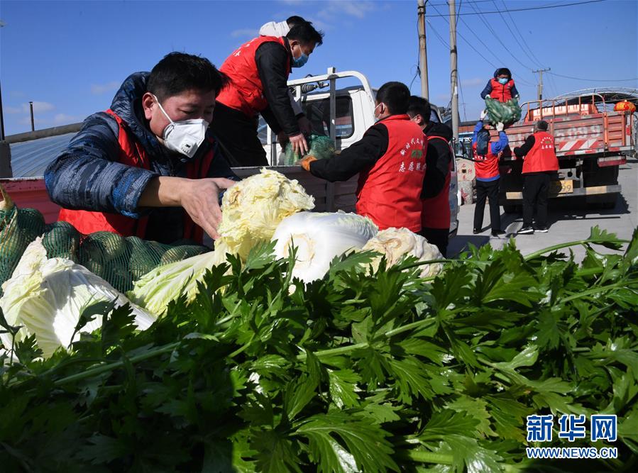 （在習(xí)近平新時(shí)代中國(guó)特色社會(huì)主義思想指引下——新時(shí)代新作為新篇章·習(xí)近平總書記關(guān)切事·圖文互動(dòng)）（2）“菜籃子”里的力量——全國(guó)各地努力做好保障和改善民生工作在行動(dòng)