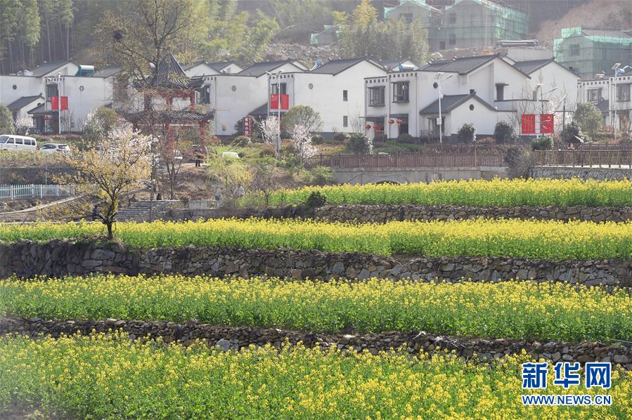 （新華全媒頭條·圖文互動）（1）紅土地上的“綠色減貧”決戰(zhàn)——大別山“將軍縣”金寨脫貧紀(jì)實(shí)