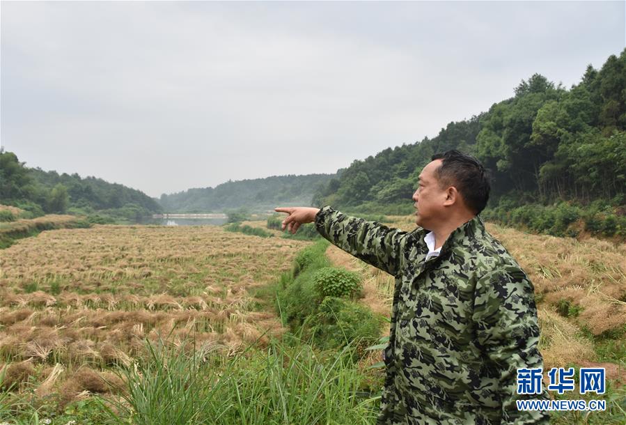 （代表委員履職·圖文互動）（2）“我是農(nóng)民代表，始終關(guān)注農(nóng)村”——全國人大代表沈昌健的履職故事