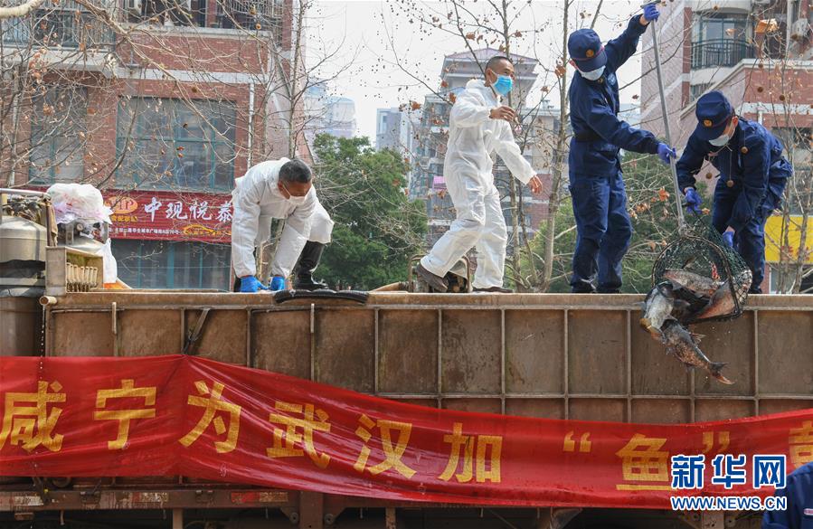 （新華全媒頭條·圖文互動）（11）風(fēng)雨無阻向前進(jìn)——寫在全國疫情防控阻擊戰(zhàn)取得重大戰(zhàn)略成果之際