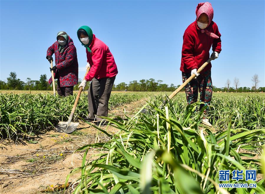 （新華全媒頭條·圖文互動）（17）從人民中汲取磅礴力量——習近平總書記同出席2020年全國兩會人大代表、政協(xié)委員共商國是紀實