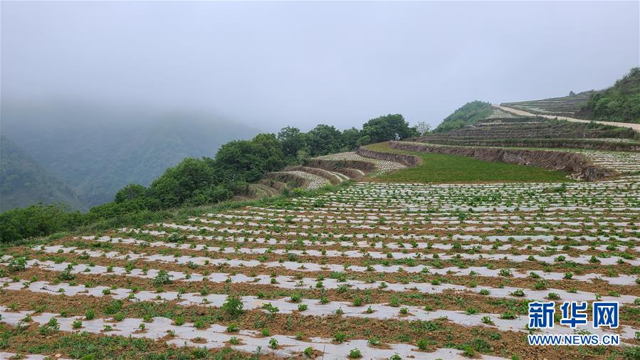 （決戰(zhàn)決勝脫貧攻堅·圖文互動）（3）喚醒“沉睡的大山”——“經(jīng)營鄉(xiāng)村”讓烏蒙山極貧鄉(xiāng)變了“模樣”