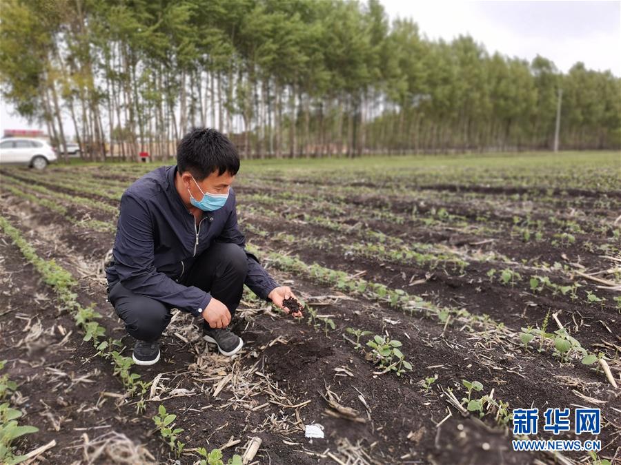 （在習(xí)近平新時代中國特色社會主義思想指引下——新時代新作為新篇章·習(xí)近平總書記關(guān)切事·圖文互動）（6）讓每一寸耕地都成為豐收的沃土——我國加強耕地保護推進“藏糧于地”