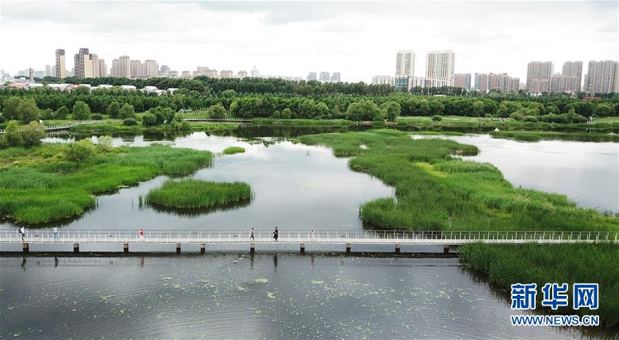 （走向我們的小康生活·圖文互動(dòng)）（1）水清、地綠、空氣新——最北省份黑龍江繪就生態(tài)治理新畫(huà)卷