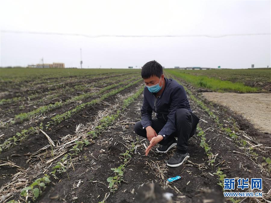 （在習近平新時代中國特色社會主義思想指引下——新時代新作為新篇章·習近平總書記關(guān)切事·圖文互動）（4）讓百姓吃得飽還要吃得好——夯實糧食安全基礎(chǔ)端牢中國飯碗