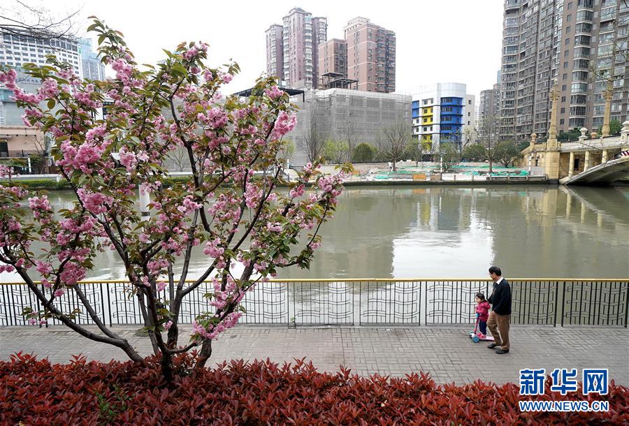 （新華全媒頭條·走向我們的小康生活·圖文互動）（12）城市，讓人民生活更美好