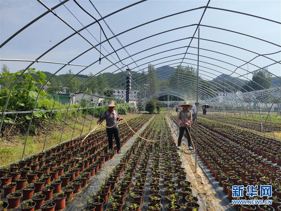 （決戰(zhàn)決勝脫貧攻堅(jiān)·圖文互動）（3）安居樂業(yè)并重，搬遷脫貧同步——湖北88萬搬遷群眾脫貧觀察 