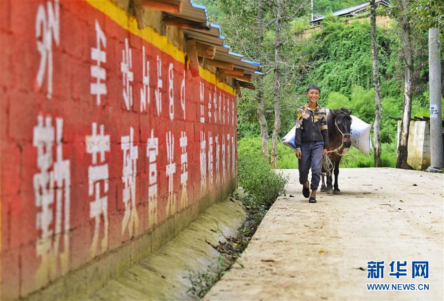 （新華全媒頭條·決戰(zhàn)決勝脫貧攻堅(jiān)·督戰(zhàn)未摘帽貧困縣·圖文互動(dòng)）（6）苦蕎花開大涼山——四川7個(gè)未摘帽縣脫貧攻堅(jiān)一線觀察