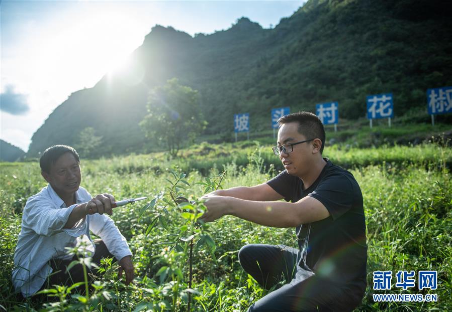 （新華全媒頭條·決戰(zhàn)決勝脫貧攻堅·督戰(zhàn)未摘帽貧困縣·圖文互動）（12）把“最能打的人”放在最需要的地方——聚焦貴州未脫貧縣里的“助攻干部”